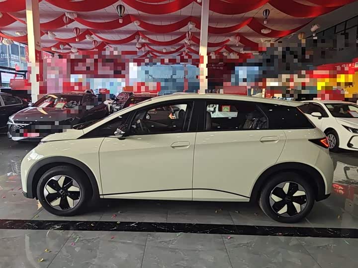 Фото 5 - BYD Dolphin