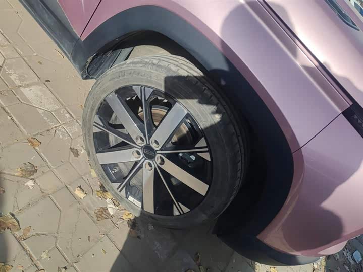 Фото 6 - Geely Icon