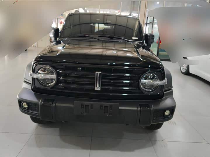 Фото 2 - Tank 300