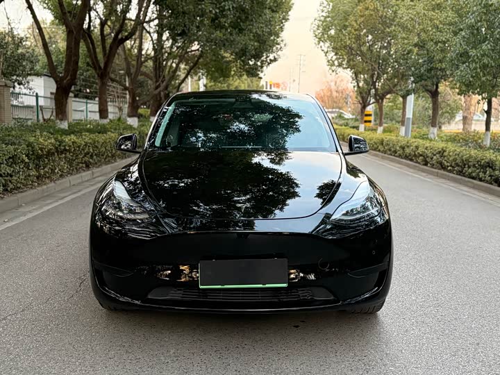 Фото 2 - Tesla Model Y