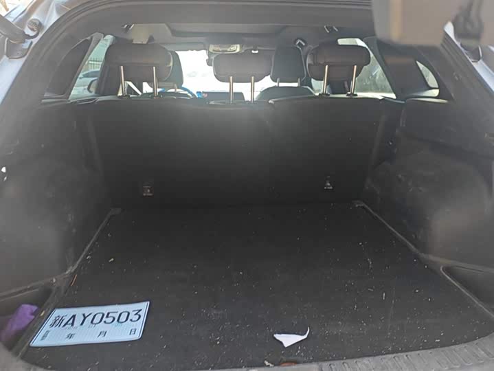 Фото 4 - Haval F7 (Monster)