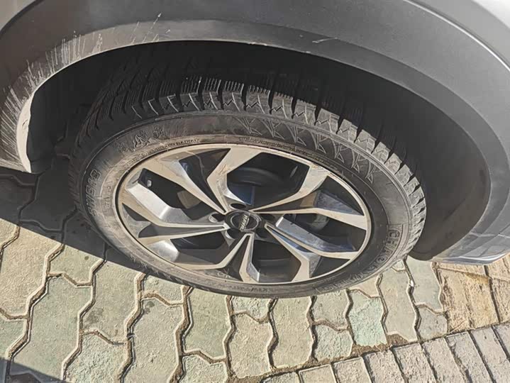 Фото 6 - Haval F7 (Monster)