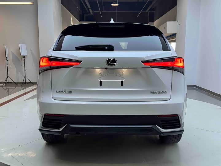 Фото 5 - Lexus NX