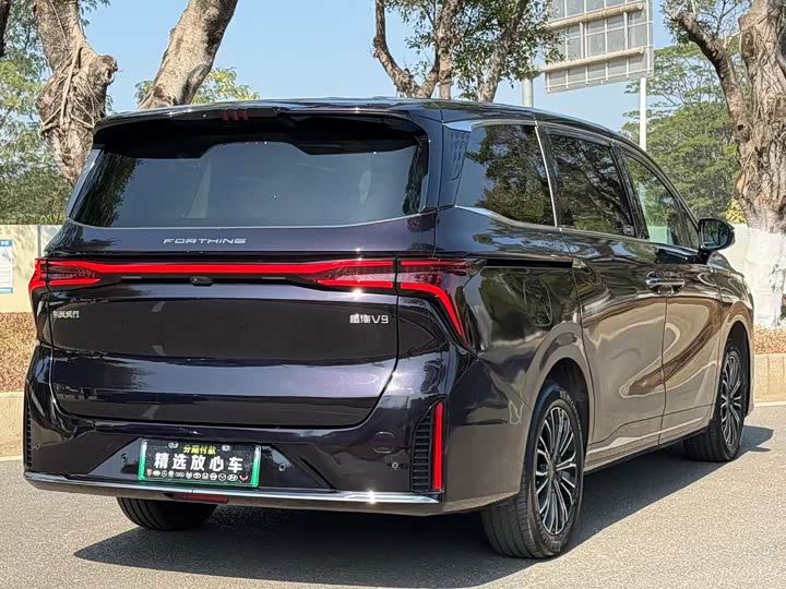 Фото 4 - Dongfeng Forthing Xinghai V9