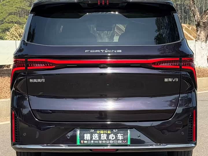 Фото 5 - Dongfeng Forthing Xinghai V9