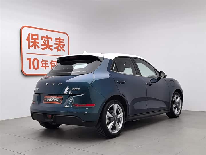 Фото 2 - Ora Good Cat (03)