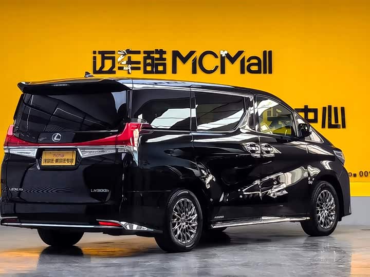 Фото 4 - Lexus LM