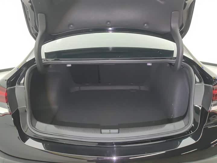 Фото 4 - Buick Regal