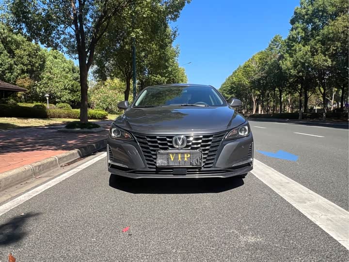 Фото 2 - Changan Raeton CC