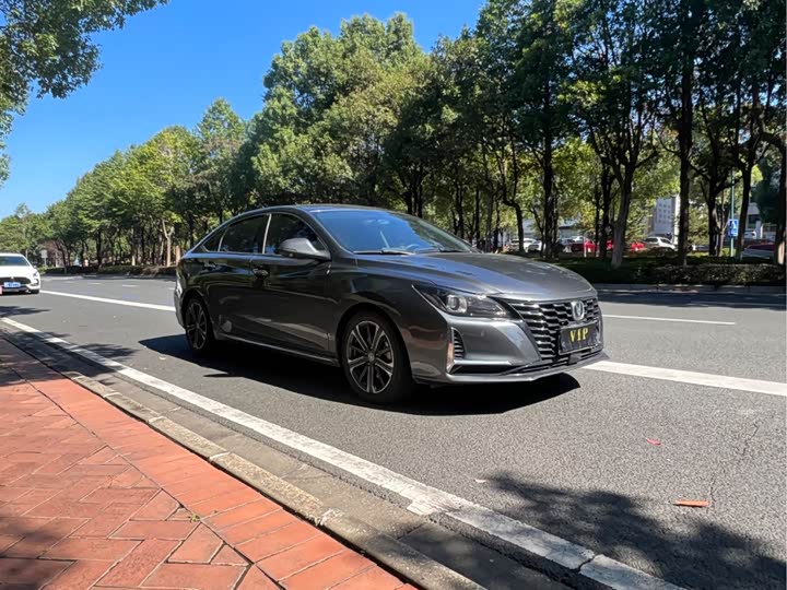 Фото 3 - Changan Raeton CC