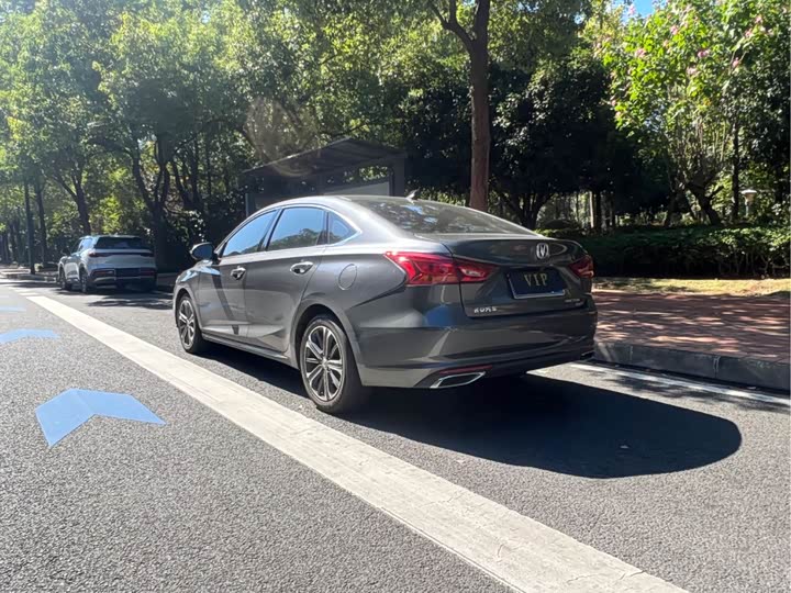 Фото 4 - Changan Raeton CC