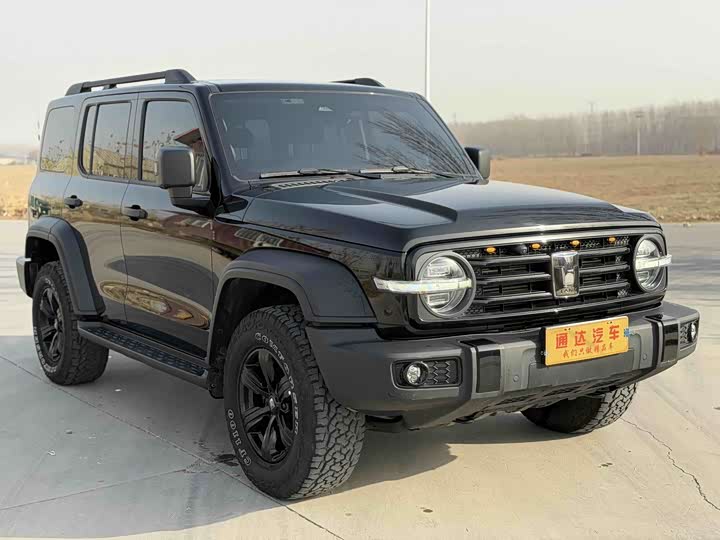 Фото 3 - Tank 300