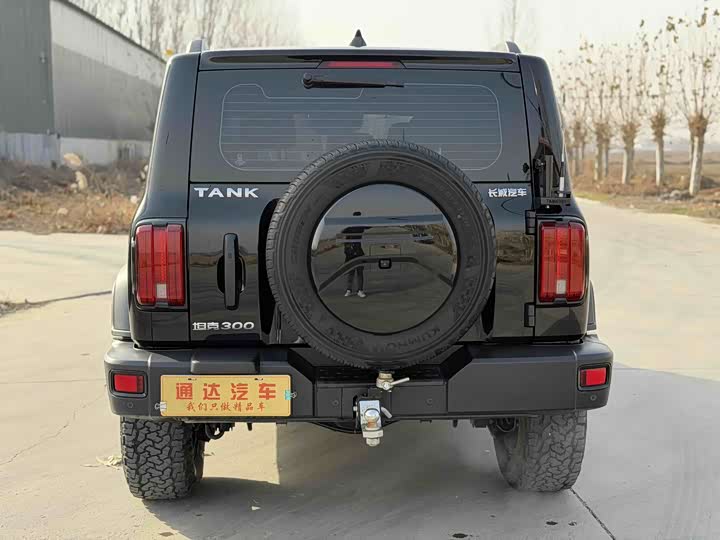 Фото 8 - Tank 300