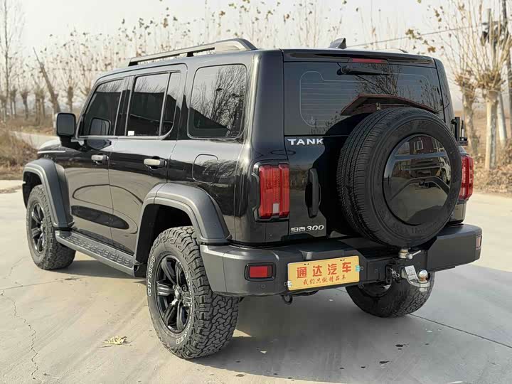 Фото 9 - Tank 300