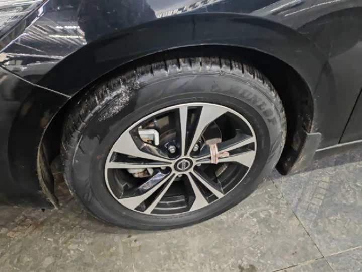 Фото 6 - Nissan Sylphy