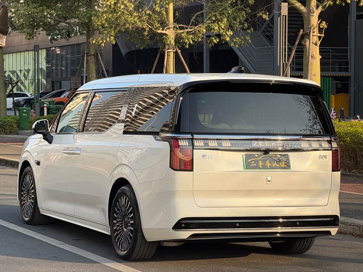 Фото 5 - Zeekr 009