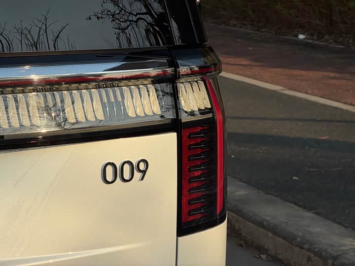 Фото 8 - Zeekr 009