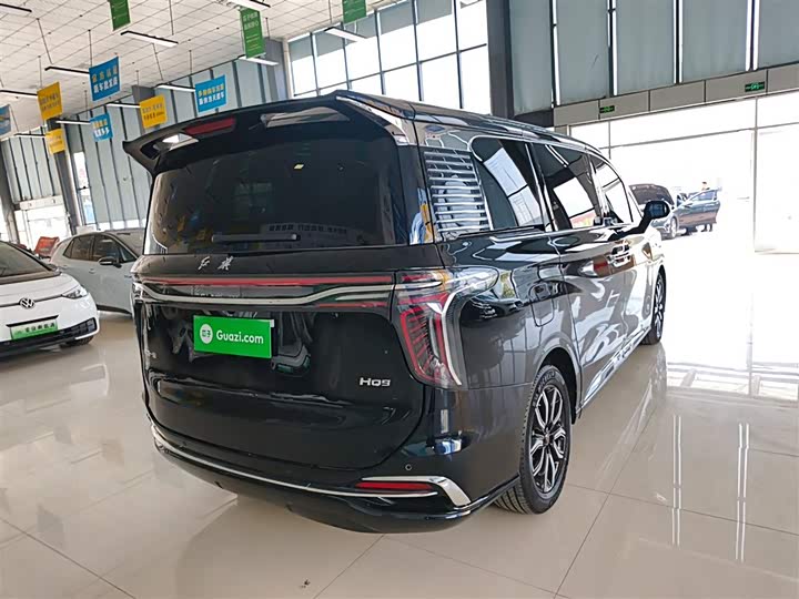 Фото 7 - Hongqi HQ9