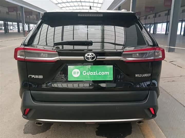 Фото 6 - Toyota Wildlander