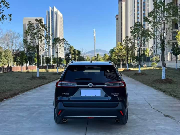 Фото 8 - Toyota Wildlander