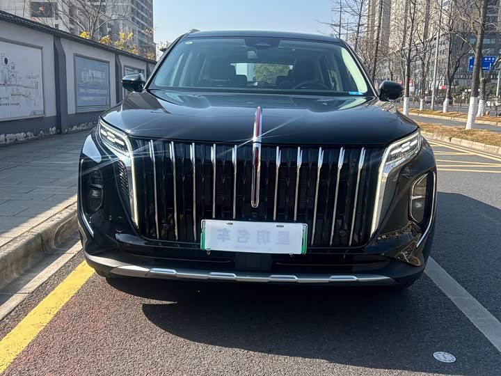 Фото 2 - Hongqi HS7 Hybrid