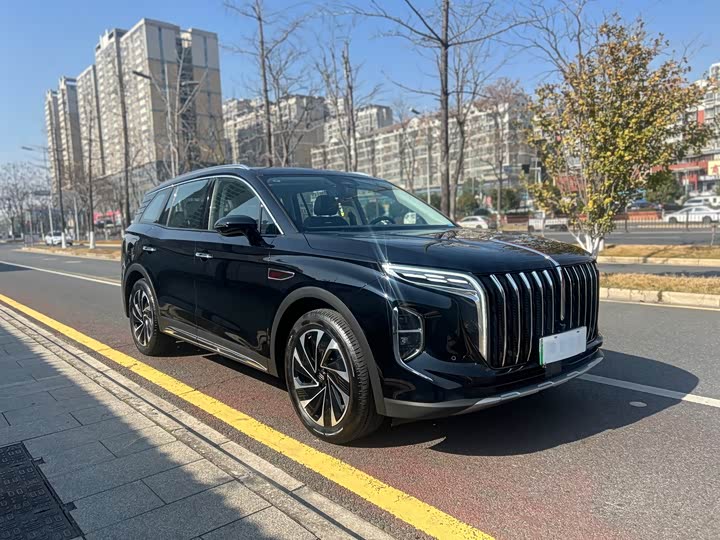 Фото 3 - Hongqi HS7 Hybrid