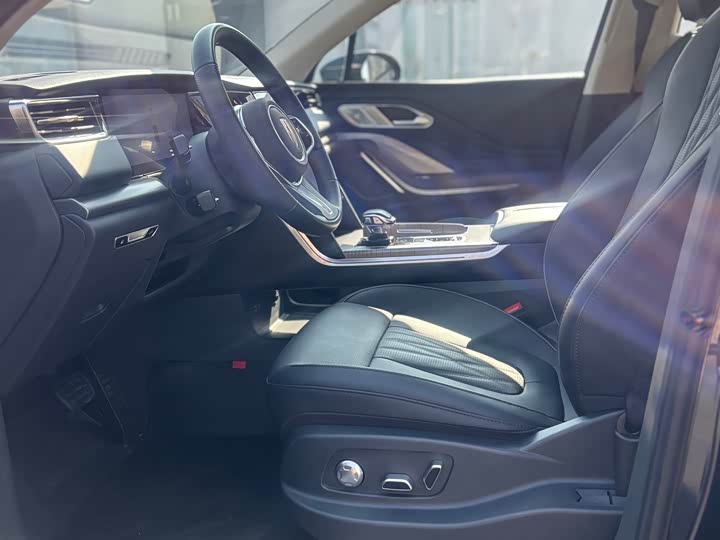 Фото 5 - Hongqi HS7 Hybrid