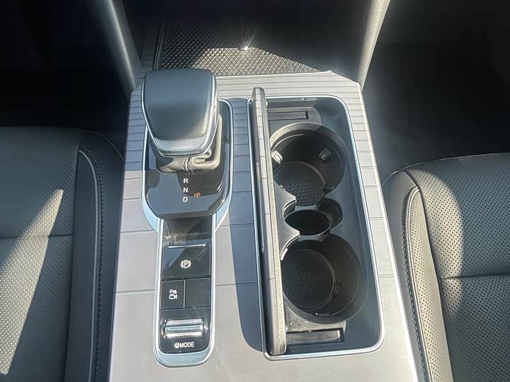 Фото 9 - Hongqi HS7 Hybrid