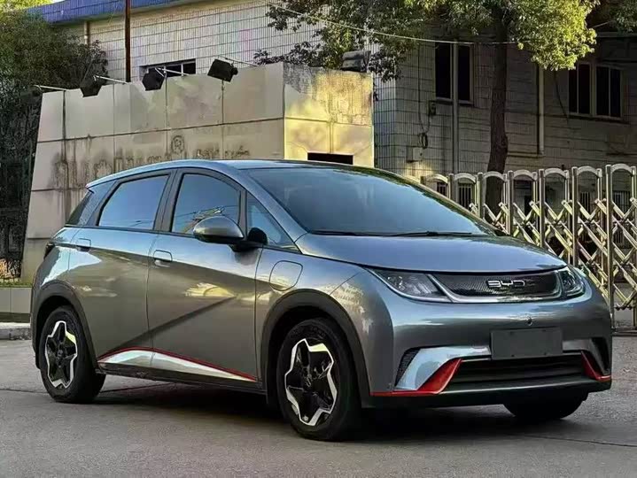 Фото 1 - BYD Dolphin