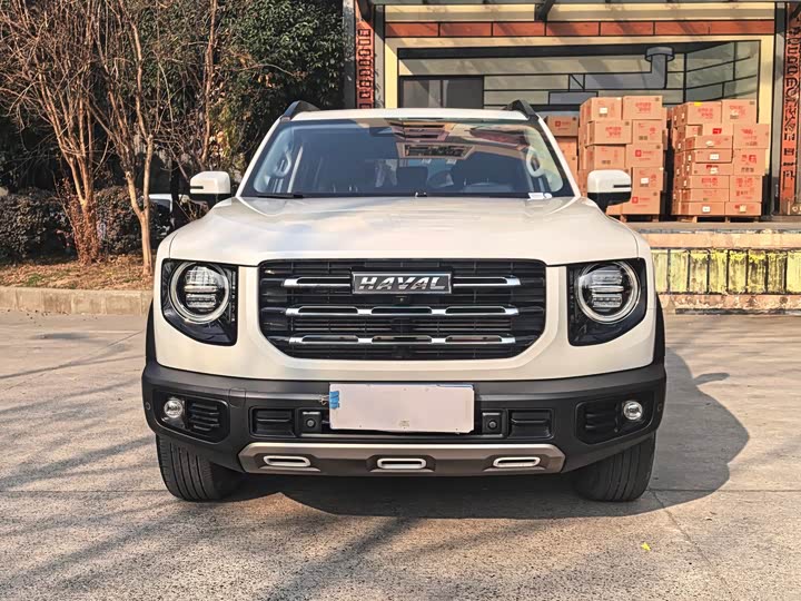 Фото 2 - Haval Dargo