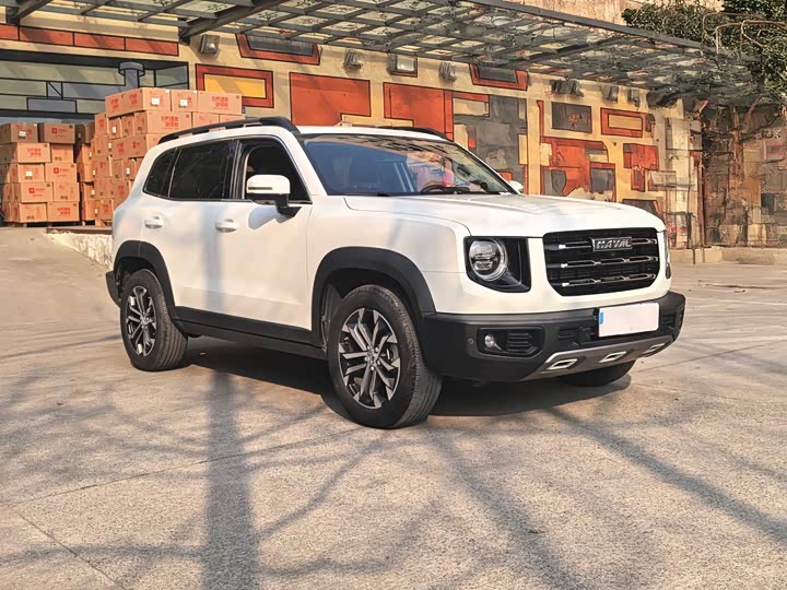 Фото 3 - Haval Dargo