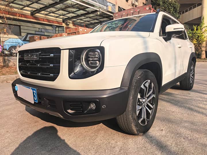 Фото 4 - Haval Dargo