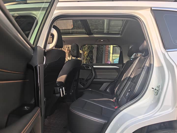 Фото 6 - Haval Dargo