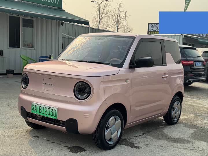 Фото 1 - Geely Galaxy Panda Mini