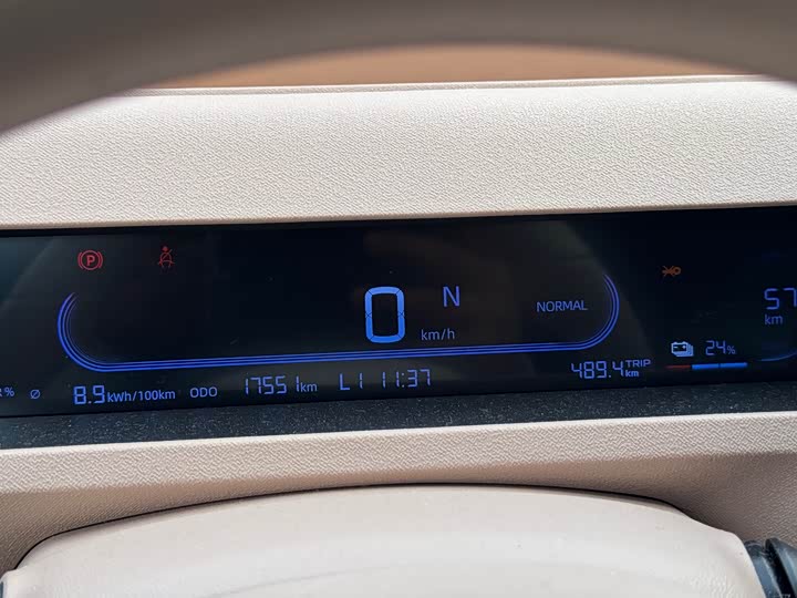 Фото 7 - Geely Galaxy Panda Mini