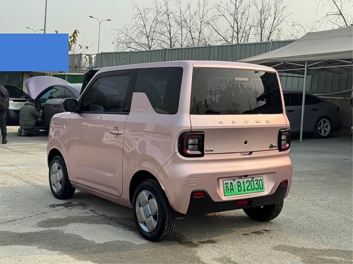 Фото 9 - Geely Galaxy Panda Mini