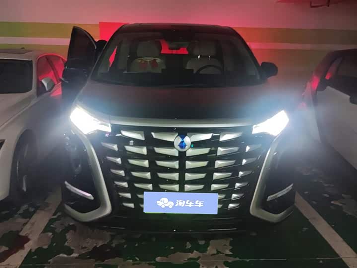 Фото 2 - Denza D9