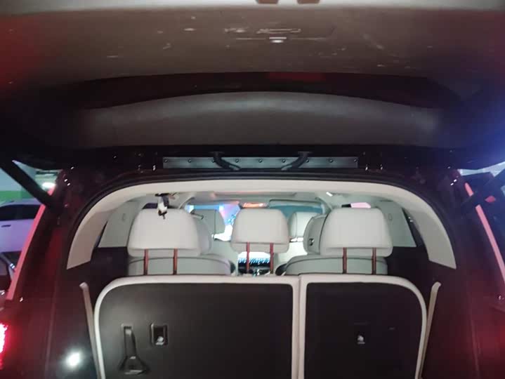 Фото 4 - Denza D9