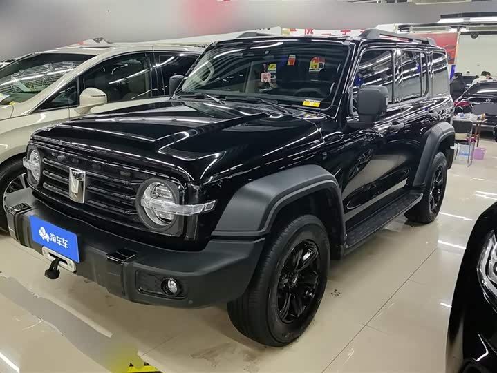 Фото 1 - Tank 300