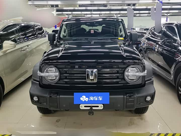 Фото 2 - Tank 300