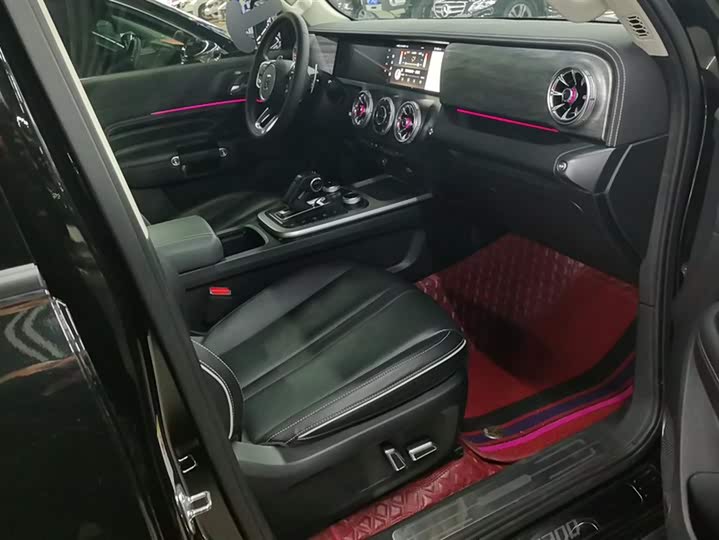 Фото 8 - Tank 300