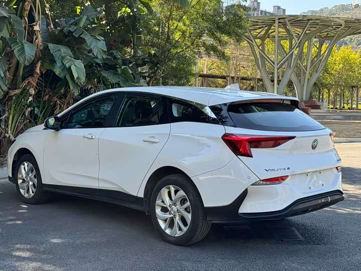 Фото 7 - Buick Velite 6