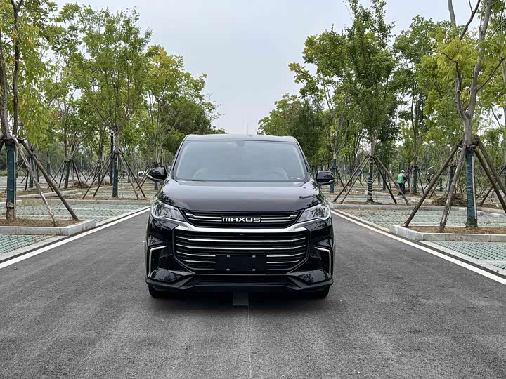 Фото 1 - Maxus G50