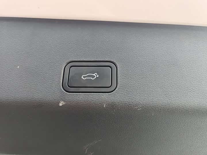 Фото 5 - Geely Monjaro