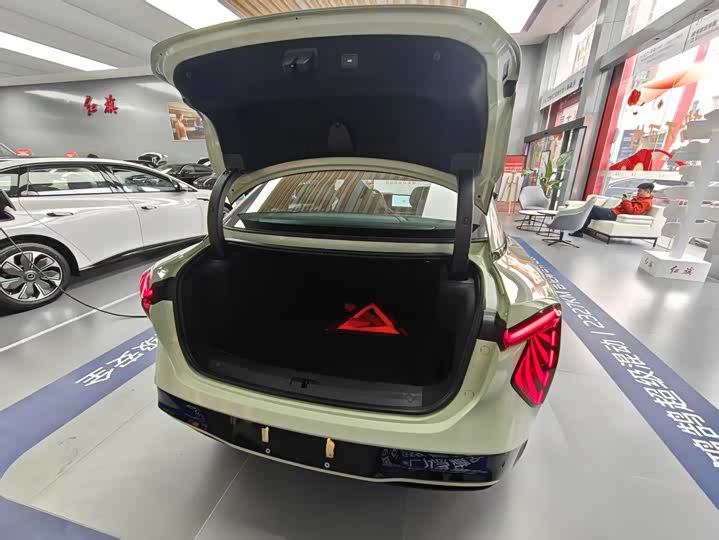 Фото 6 - Hongqi EH7