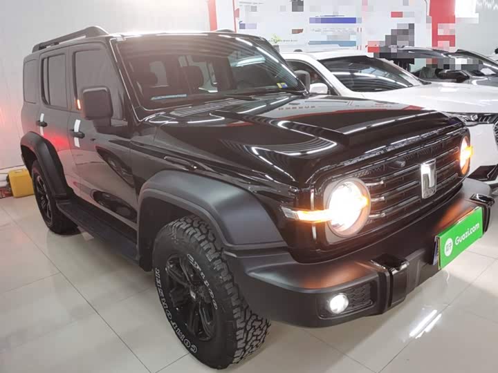 Фото 4 - Tank 300