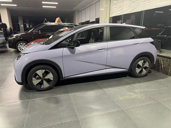 Фото 2 - BYD Dolphin