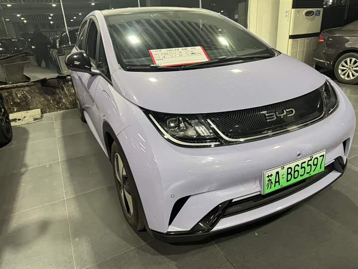 Фото 3 - BYD Dolphin