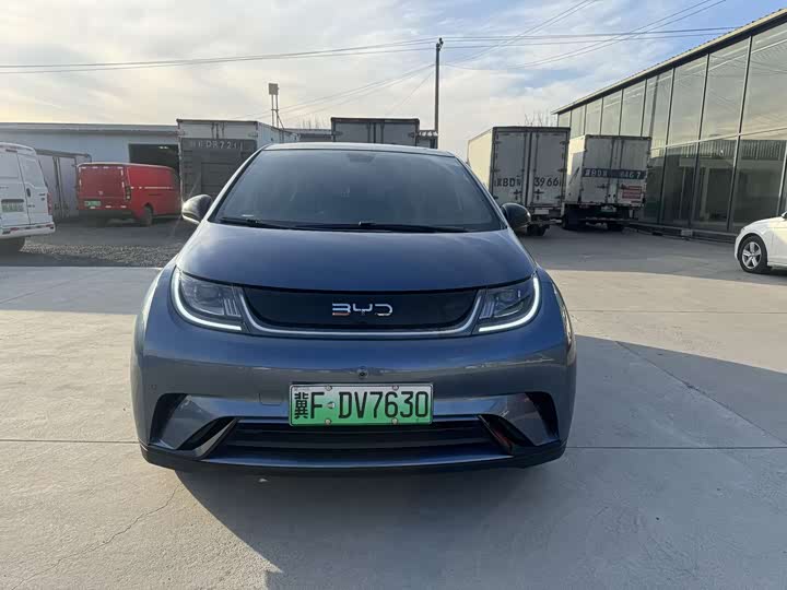 Фото 2 - BYD Dolphin