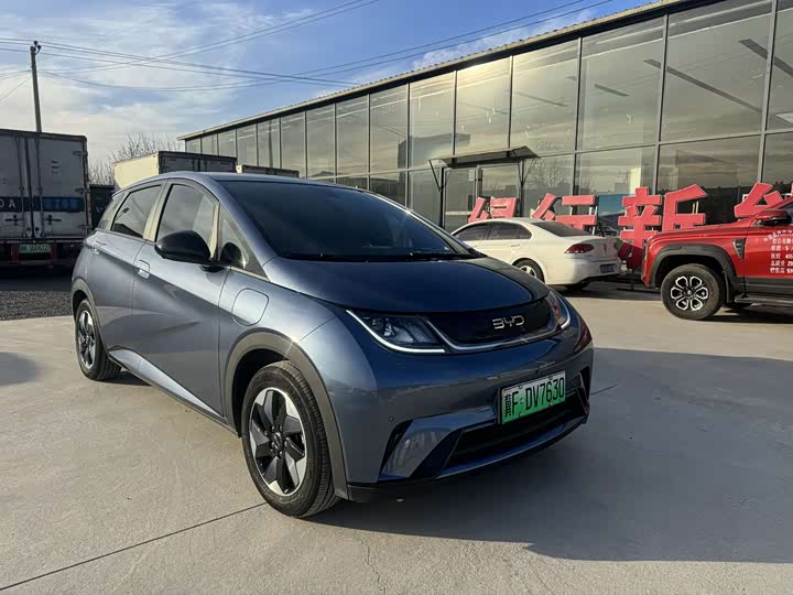 Фото 3 - BYD Dolphin